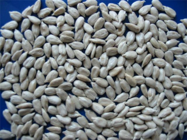 11 葵瓜籽 sunflower kernels.jpg